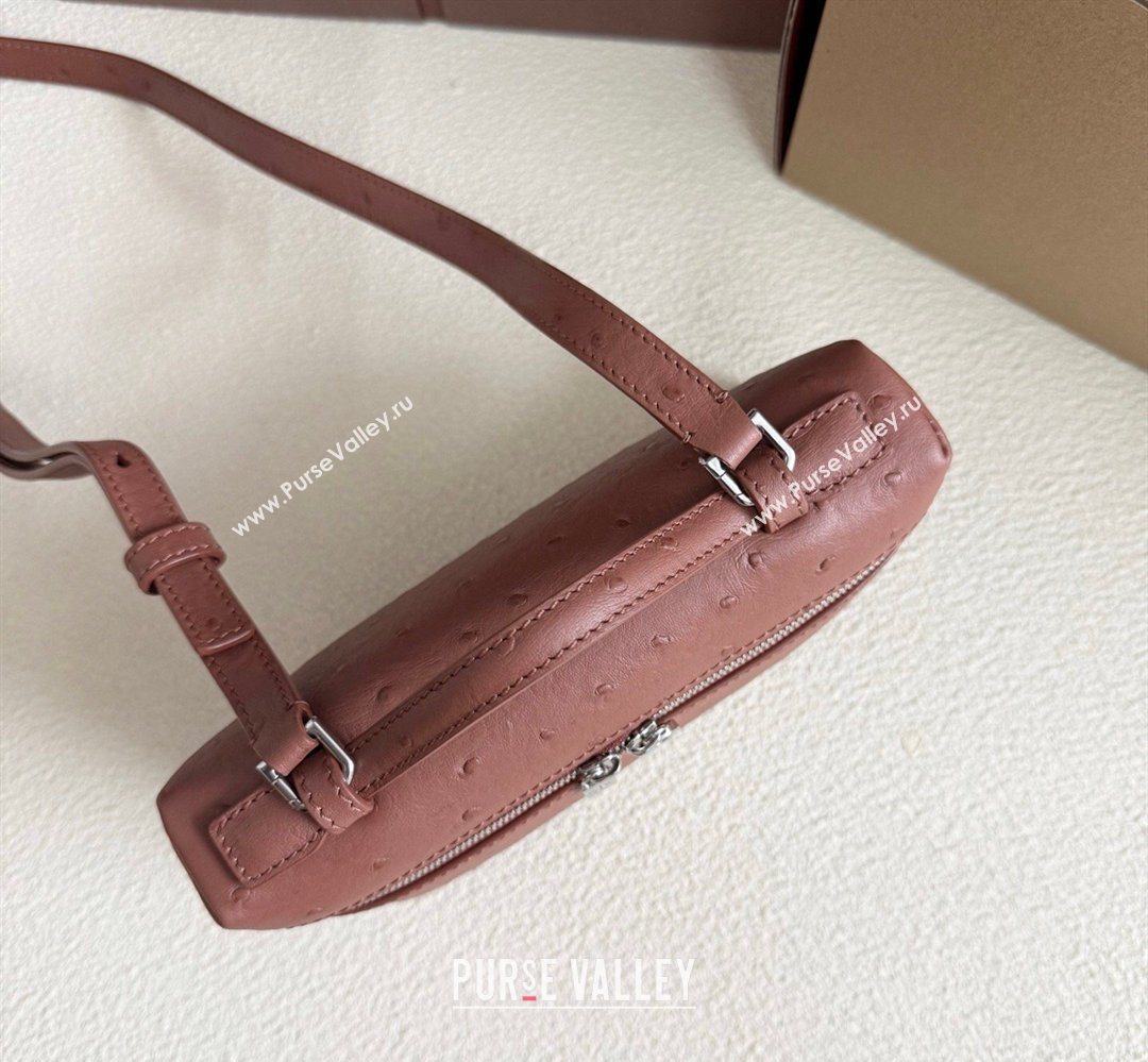 Loro Piana LP Extra Pocket Pouch L19 in Ostrich Embossed Leather Red Brick/Silver 2026 FAI8393 (YY-260408033)