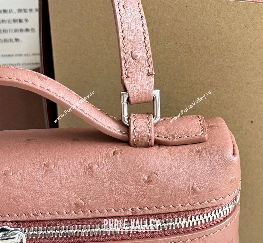 Loro Piana LP Extra Pocket Pouch L19 in Ostrich Embossed Leather Red Brick/Silver 2026 FAI8393 (YY-260408033)