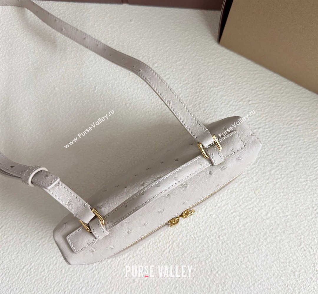 Loro Piana LP Extra Pocket Pouch L19 in Ostrich Embossed Leather Light Beige/Gold 2026 FAI8393 (YY-260408034)