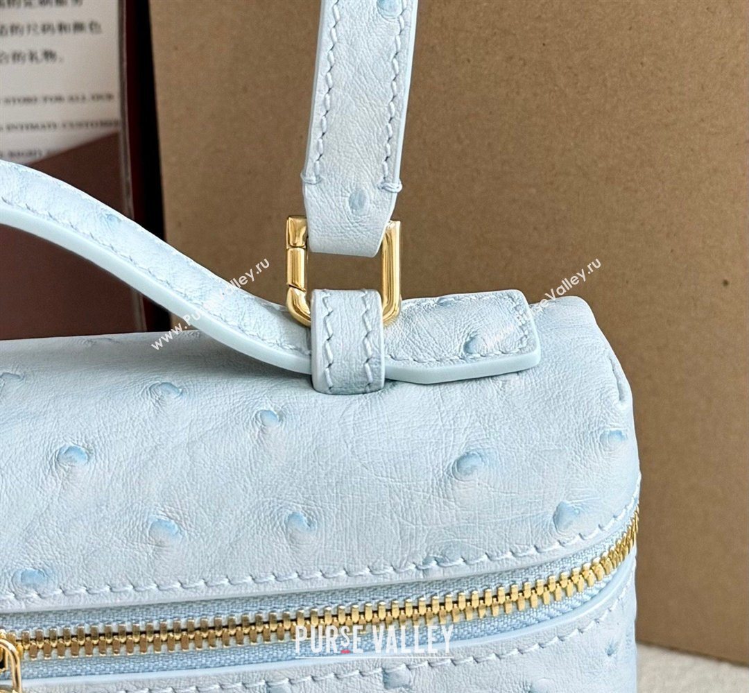 Loro Piana LP Extra Pocket Pouch L19 in Ostrich Embossed Leather Light Blue/Gold 2026 FAI8393 (YY-260408035)
