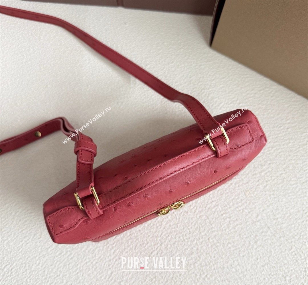 Loro Piana LP Extra Pocket Pouch L19 in Ostrich Embossed Leather Red/Gold 2026 FAI8393 (YY-260408041)