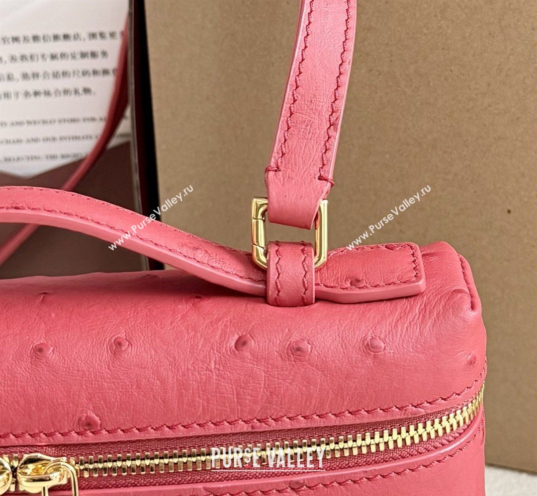 Loro Piana LP Extra Pocket Pouch L19 in Ostrich Embossed Leather Red/Gold 2026 FAI8393 (YY-260408041)