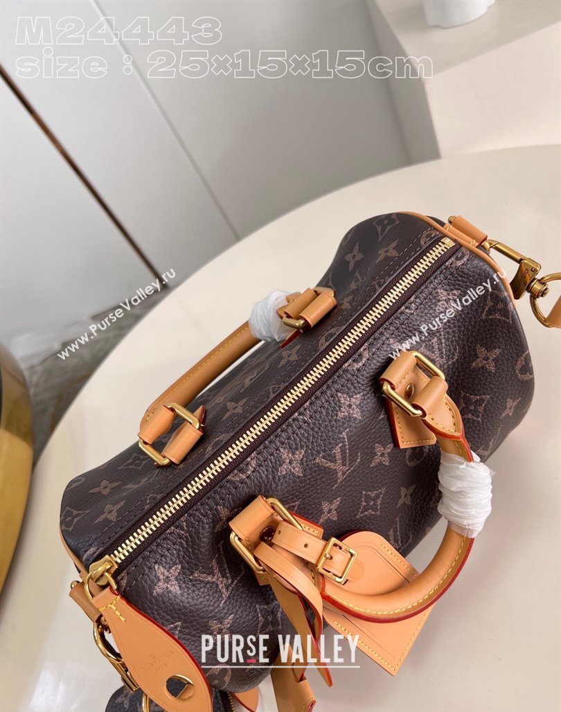 Louis Vuitton Speedy P9 Bandouliere 25 Bag in Soft Calfskin M24443 Monogram 2024 Runway (KI-240218054)