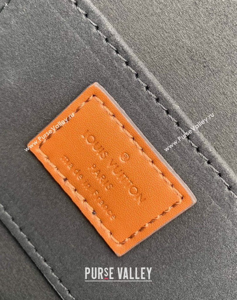 Louis Vuitton Dauphine East West Mini Bag in Monogram Canvas M46757 2024 (KI-240412025)