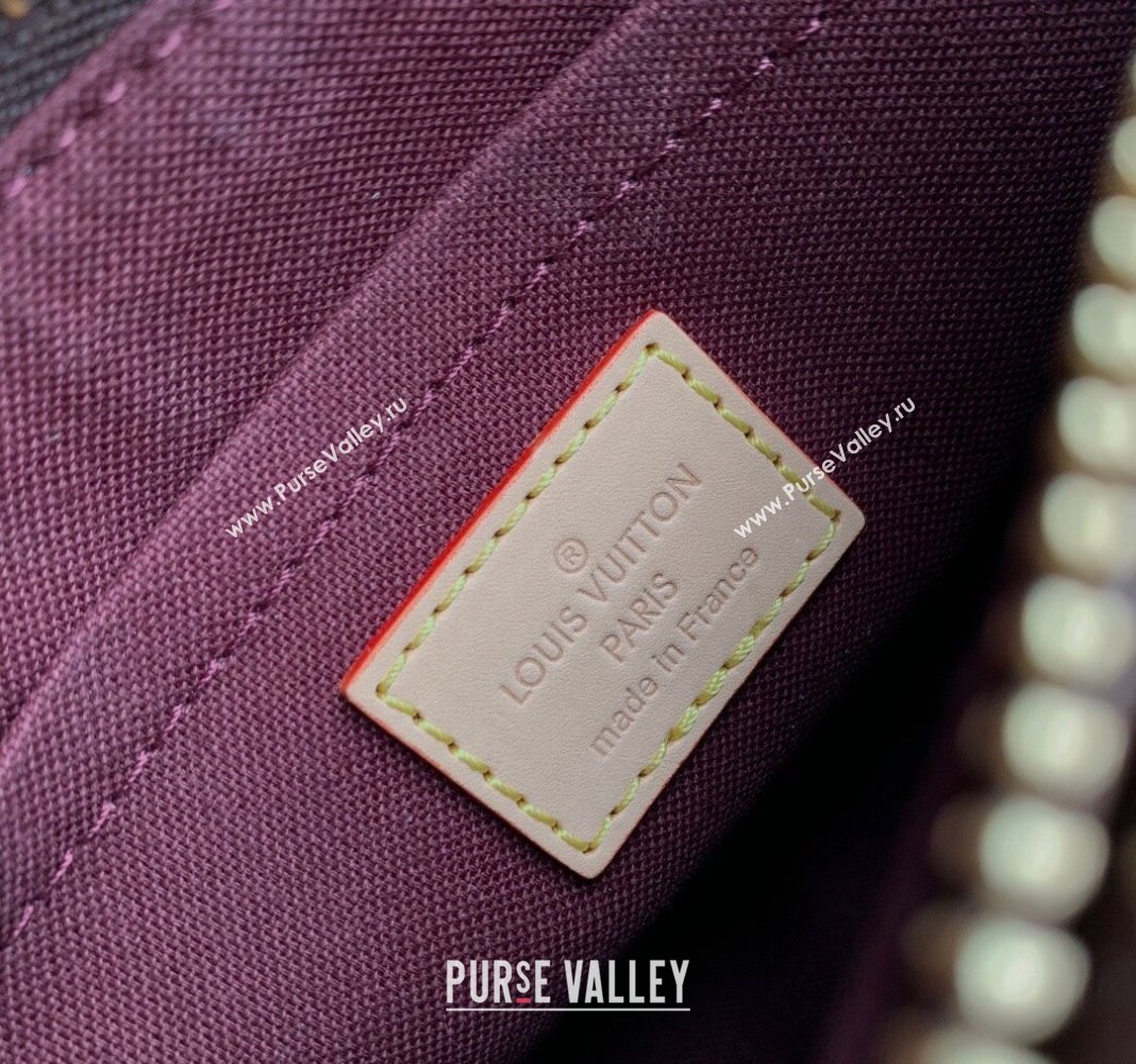 Louis Vuitton Vibe Monogram Canvas Shoulder bag M46999 2024 (KI-240412044)