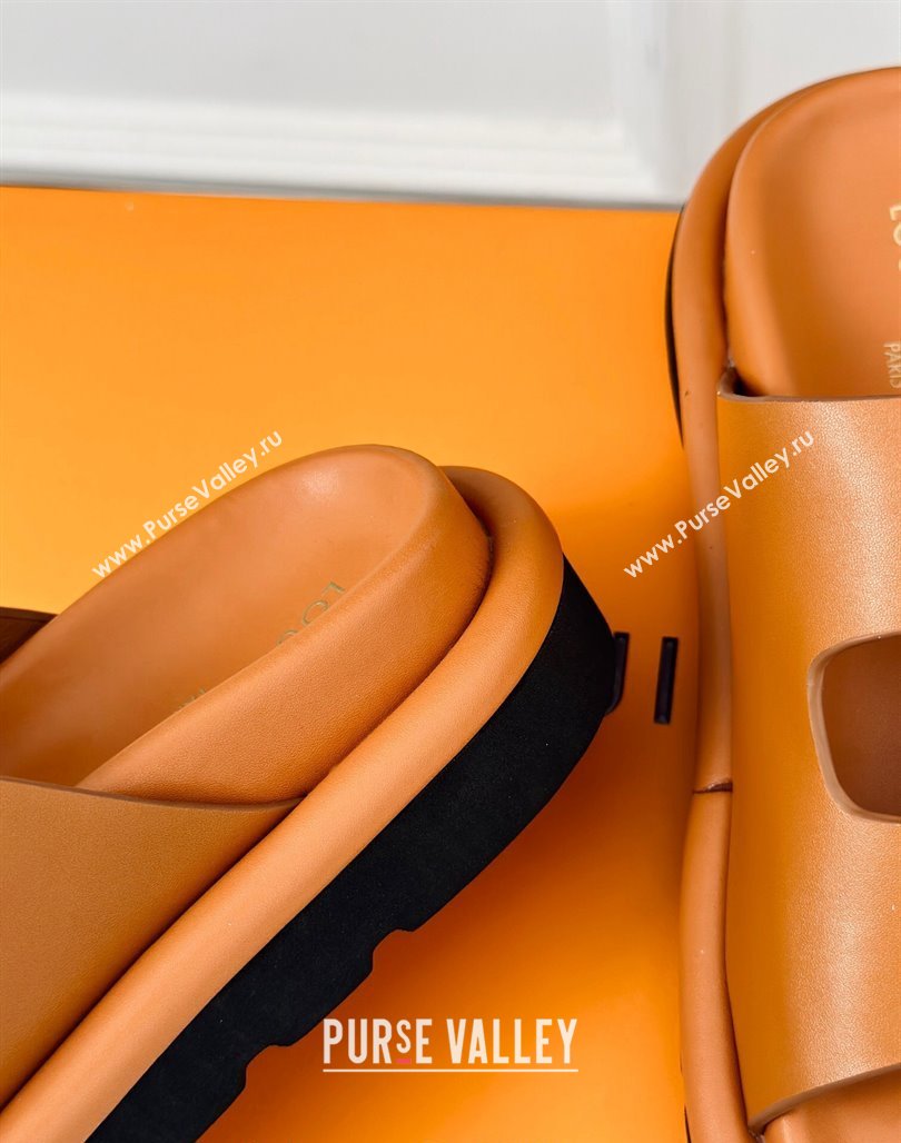 Louis Vuitton Double Buckle Strap Sandals in Calfskin Brown 2024 0426 (MD-240426047)