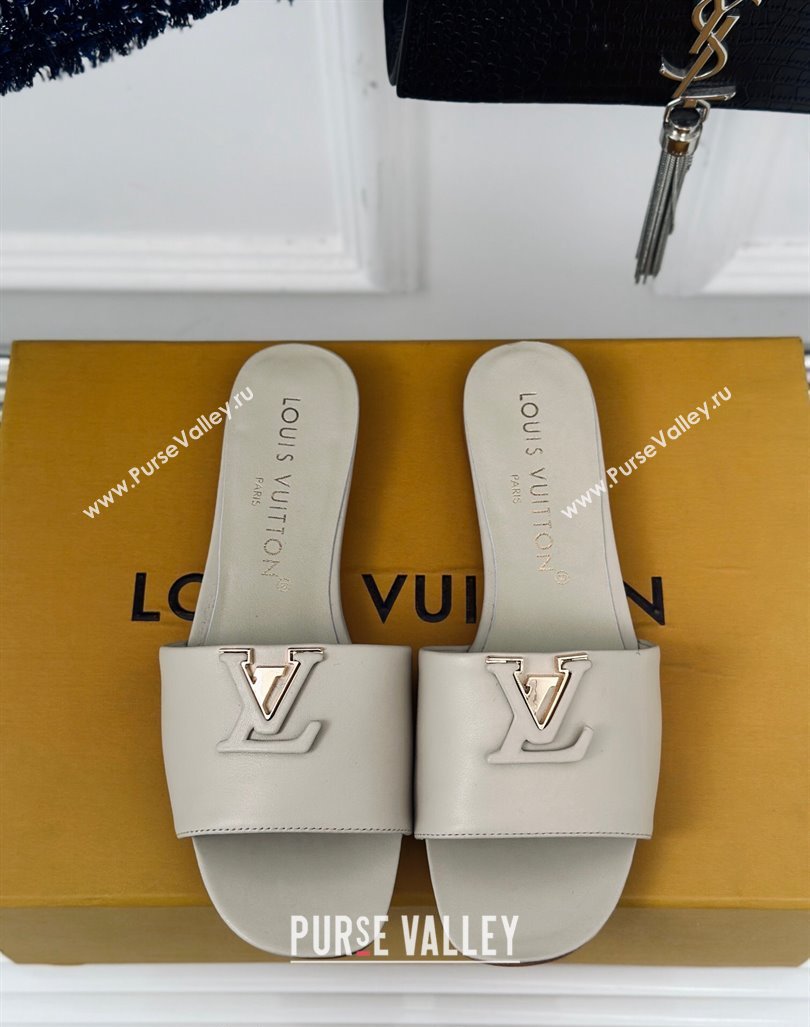 Louis Vuitton LV Capri Flat Slide Sandals in Calf Leather Grey 2024 (MD-240606118)