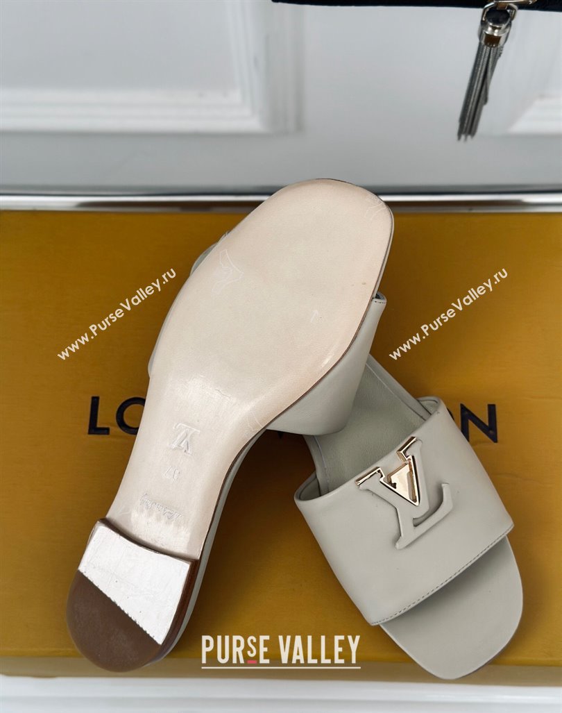 Louis Vuitton LV Capri Flat Slide Sandals in Calf Leather Grey 2024 (MD-240606118)