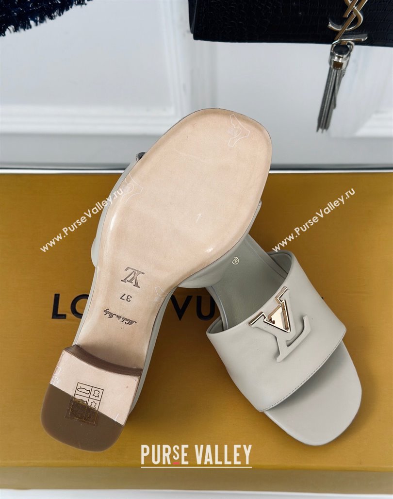 Louis Vuitton LV Capri Heel Slide Sandals 5cm in Calf Leather Grey 2024 (MD-240426105)