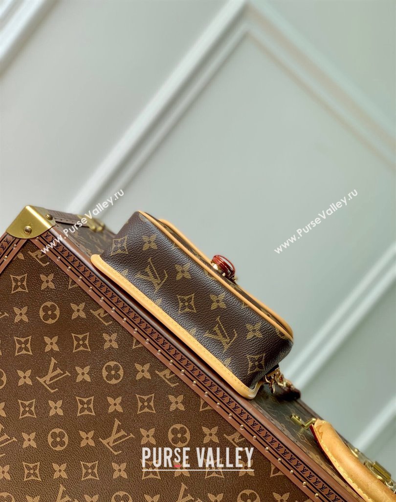 Louis Vuitton Nano Diane Mini bag in Monogram Canvas M83566 2024 (KI-240520066)