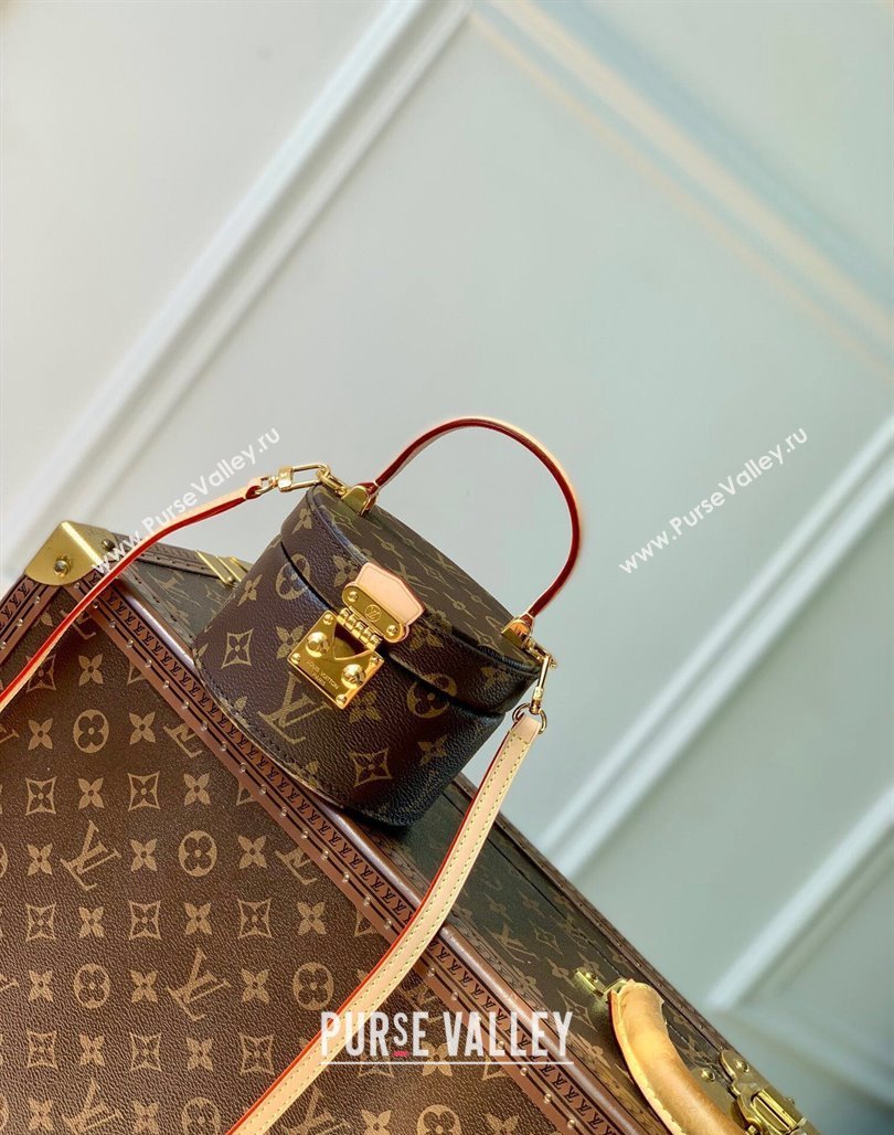 Louis Vuitton Scott Box mini Bag Monogram Canvas M46933 2024 (KI-240716099)