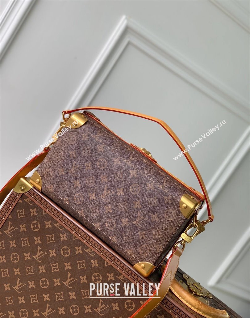 Louis Vuitton Soul Trunk East West Shoulder bag in Monogram Dust Canvas M11536 2024 (KI-240807024)