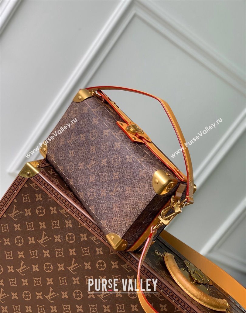 Louis Vuitton Soul Trunk East West Shoulder bag in Monogram Dust Canvas M11536 2024 (KI-240807024)