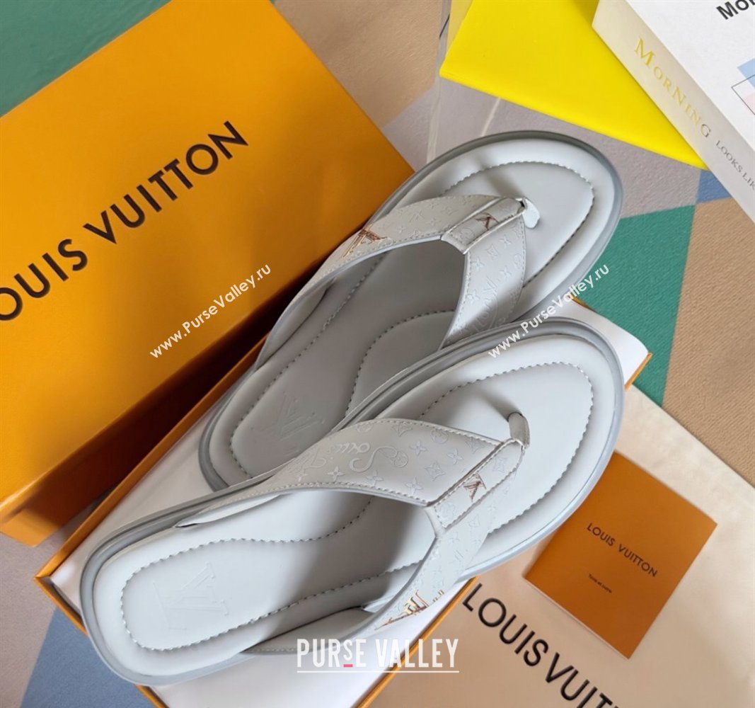 Louis Vuitton Mens Flat Thong Slides Sandal in Calf Leather Grey 2024 0815 (MD-240815076)