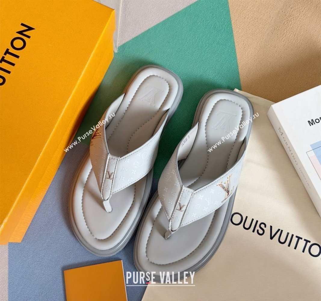 Louis Vuitton Mens Flat Thong Slides Sandal in Calf Leather Grey 2024 0815 (MD-240815076)