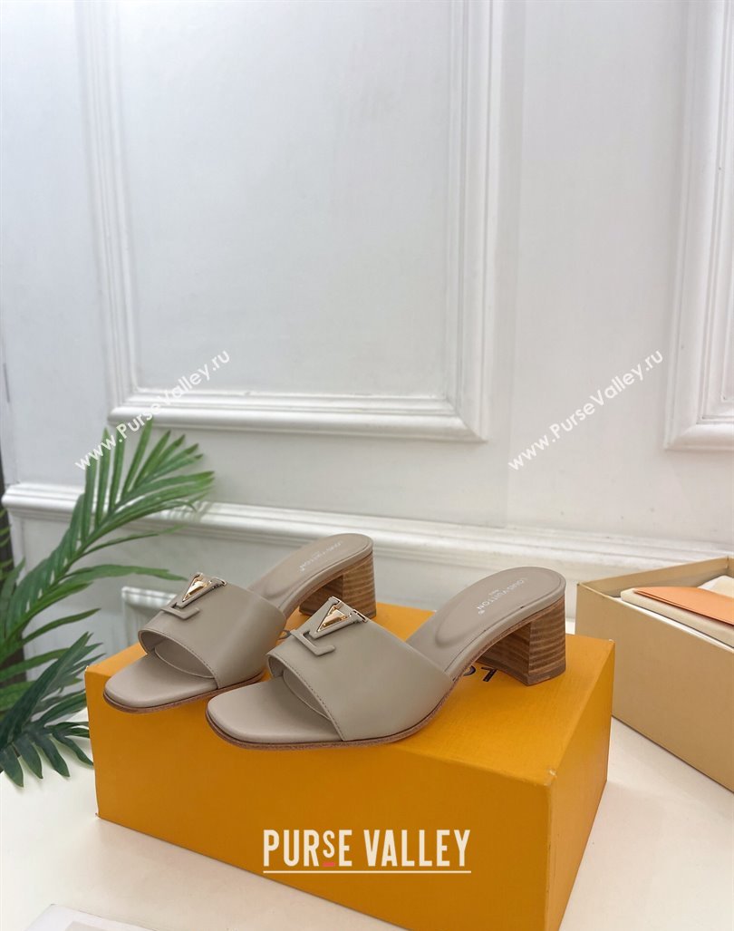 Louis Vuitton LV Capri Heel Slides Sandal 5cm in Calf Leather Grey 2024 0815 (MD-240815104)