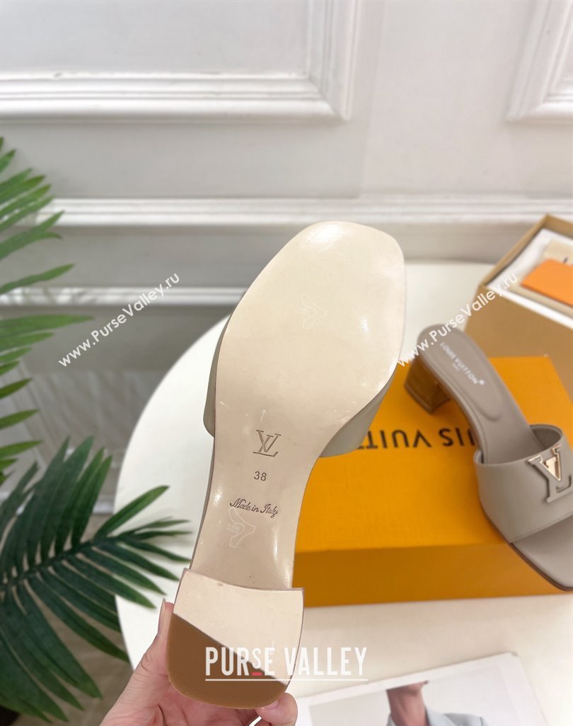 Louis Vuitton LV Capri Heel Slides Sandal 5cm in Calf Leather Grey 2024 0815 (MD-240815104)