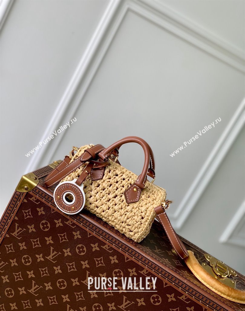 Louis Vuitton Nano Speedy Mini Bag in Raffia Straw M83525 2024 (KI-240829035)