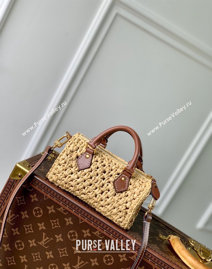 Louis Vuitton Nano Speedy Mini Bag in Raffia Straw M83525 2024 (KI-240829035)