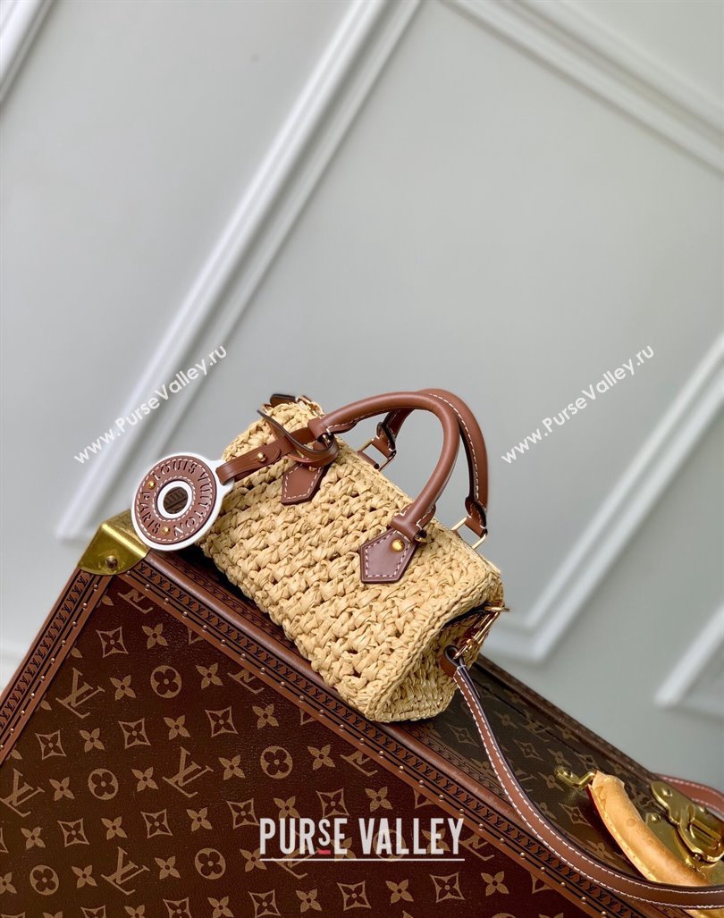 Louis Vuitton Nano Speedy Mini Bag in Raffia Straw M83525 2024 (KI-240829035)