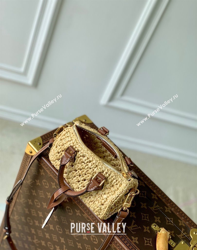 Louis Vuitton Nano Speedy Mini Bag in Raffia Straw M83525 2024 (KI-240829035)