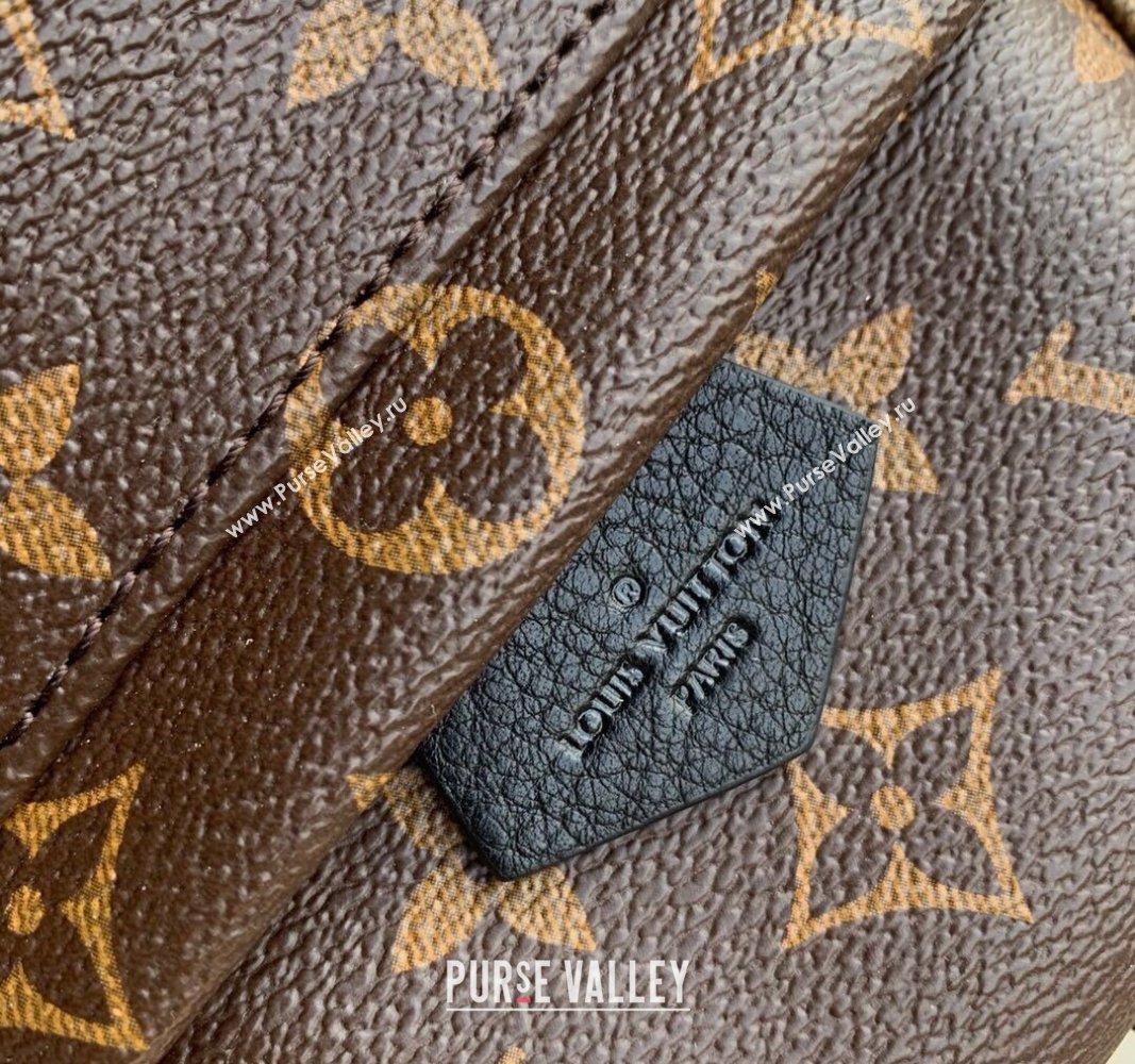 Louis Vuitton Palm Springs Mini Backpack bag M44873 Monogram Canvas 2024 (KI-240925075)