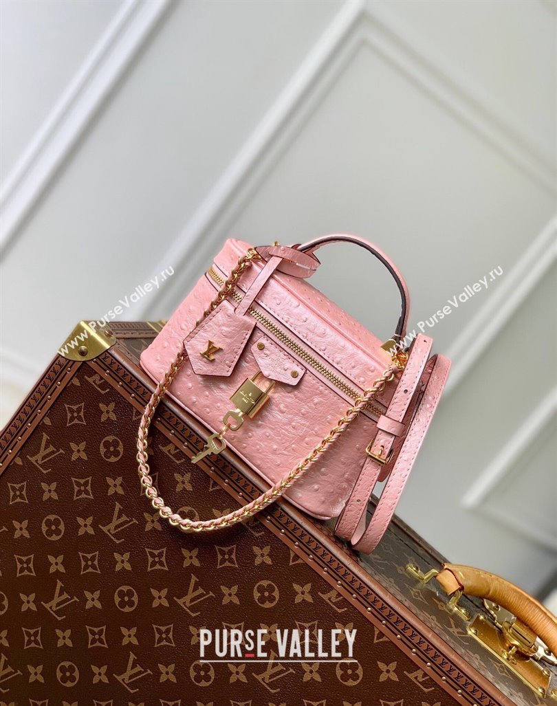 Louis Vuitton Vanity Chain Pouch in Ostrich Embossed Leather Pink 2024 N85820 (KI-240925049)