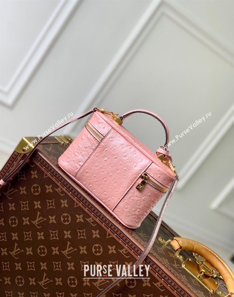 Louis Vuitton Vanity Chain Pouch in Ostrich Embossed Leather Pink 2024 N85820 (KI-240925049)