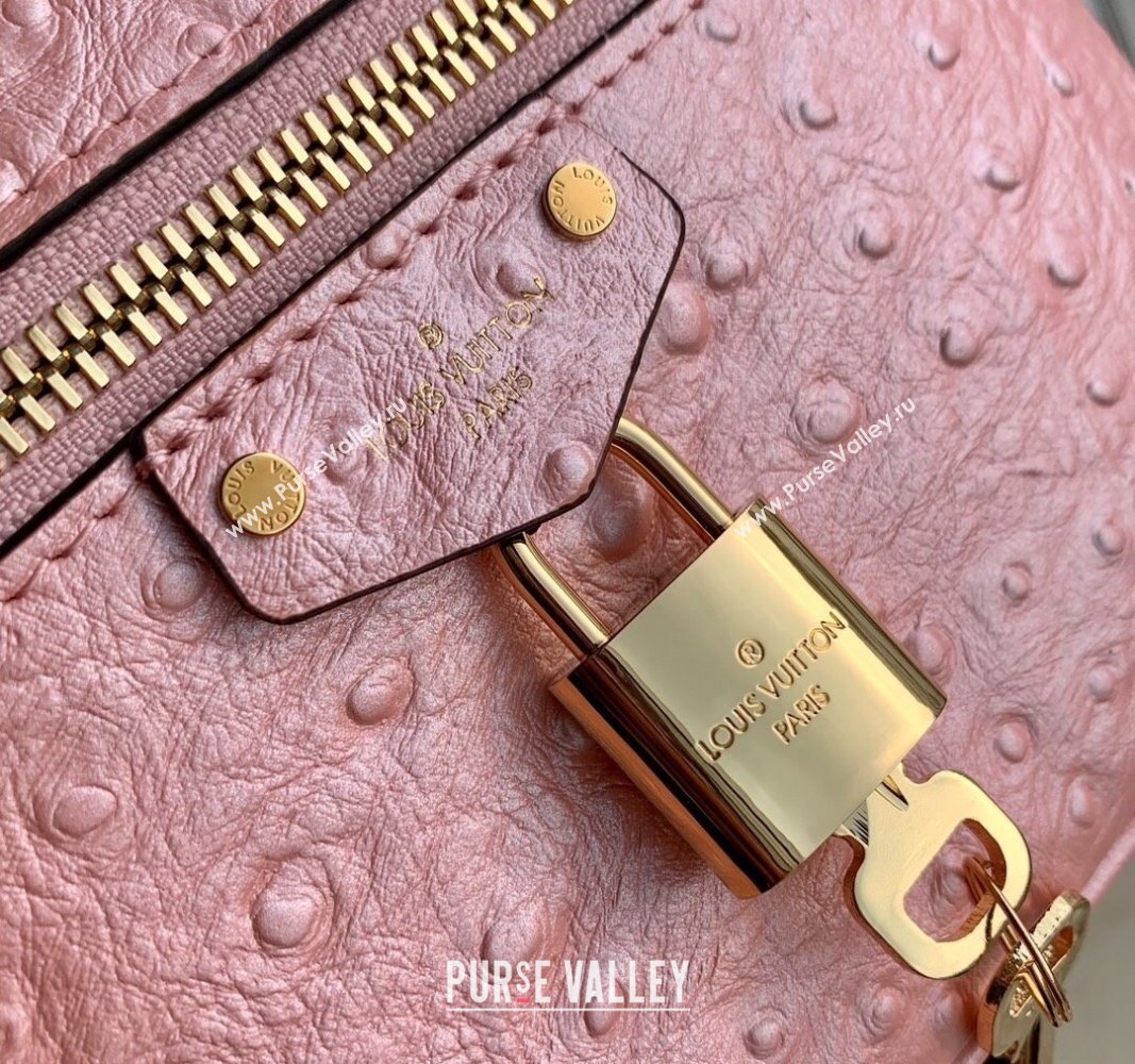 Louis Vuitton Vanity Chain Pouch in Ostrich Embossed Leather Pink 2024 N85820 (KI-240925049)