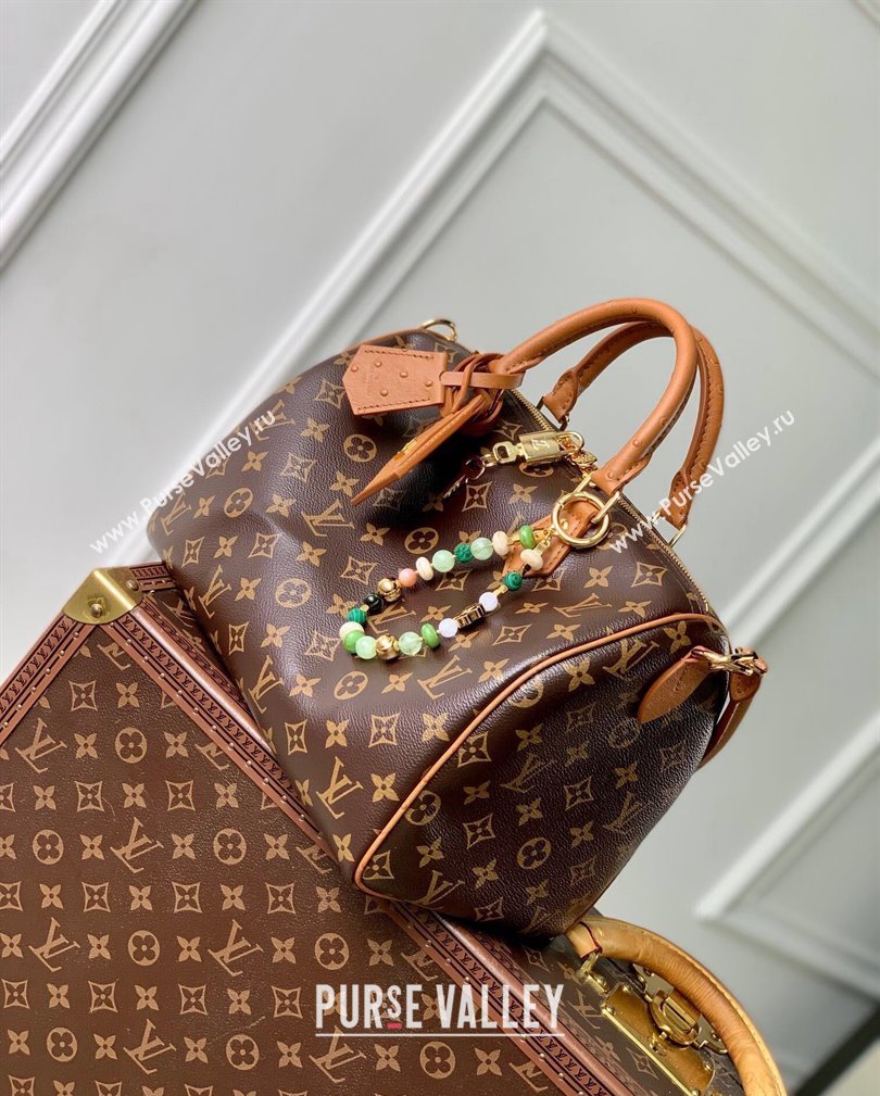 Louis Vuitton Speedy Soft 30 Boho Bag Monogram Brown Canvas M87212 2024 (KI-241105016)