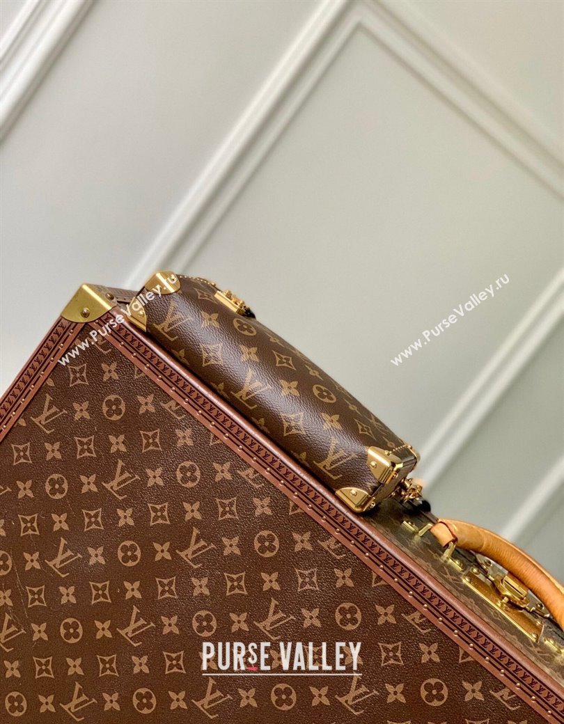 Louis Vuitton Slim Trunk Hobo bag in Monogram Canvas M13147 2024 (KI-241210023)