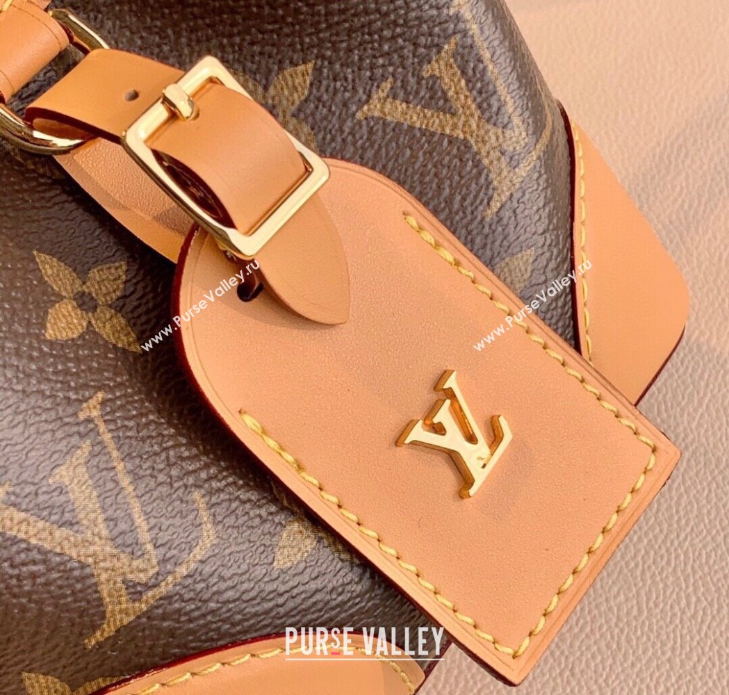 Louis Vuitton Mini Bucket Bag in Classic Monogram Canvas 2025 M57099 (KI-250211036)