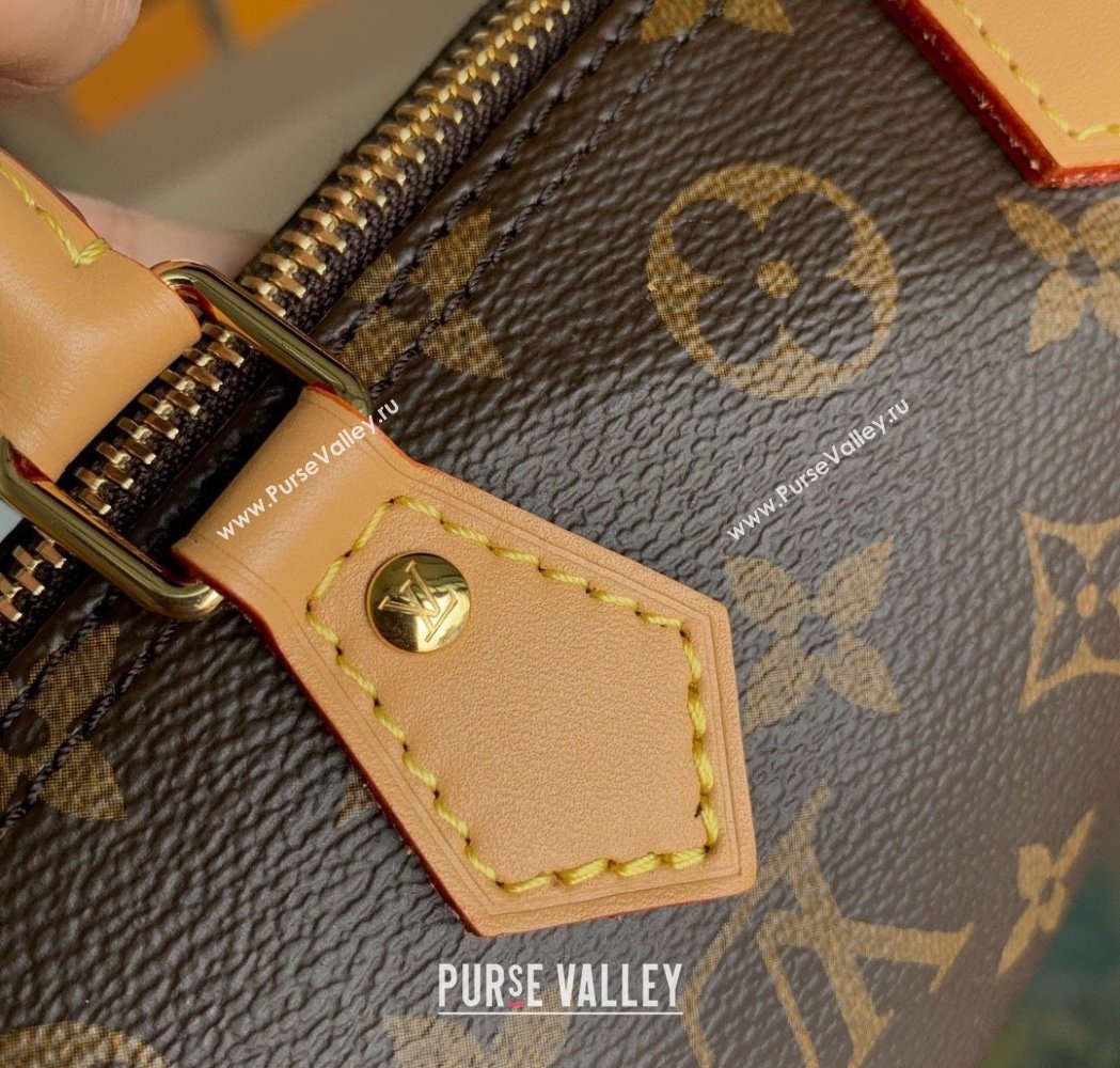 Louis Vuitton Nano Speedy Mini Bag in Classic Monogram Canvas 2025 M81085 (KI-250211038)