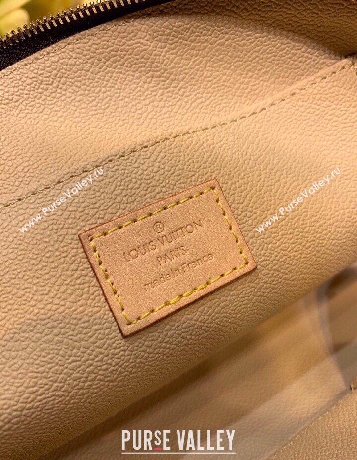 Louis Vuitton Classic Monogram Canvas Vanity Bag 2025 M47515 (KI-250211053)