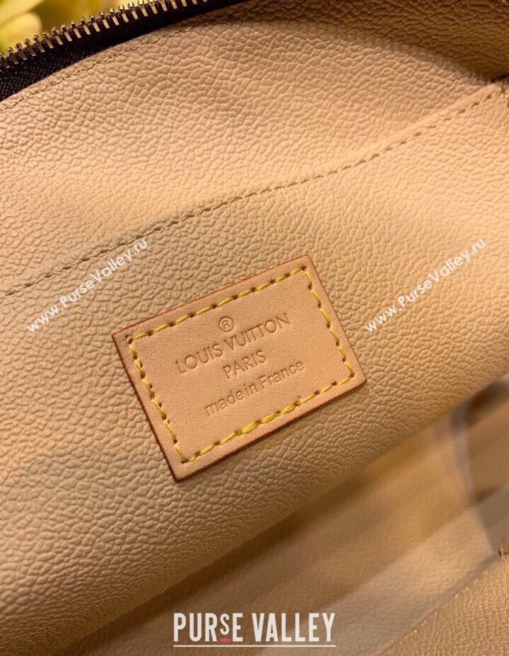 Louis Vuitton Classic Monogram Canvas Vanity Bag 2025 M47353 (KI-250211054)