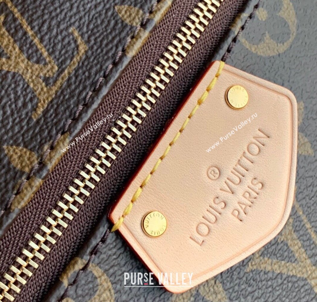 Louis Vuitton Iena PM Monogram Canvas Shoulder Bag 2025 M42268 (KI-250212008)