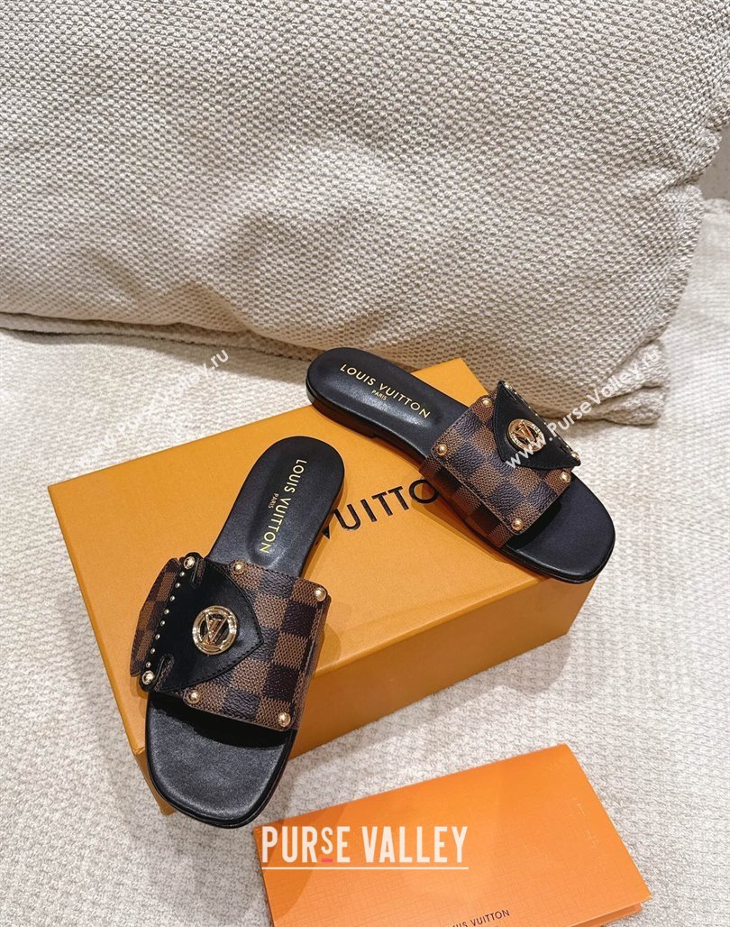 Louis Vuitton LV Frame Flat Slides Sandal in Damier Canvas Brown 2025 1AHLPV (MD-250422073)