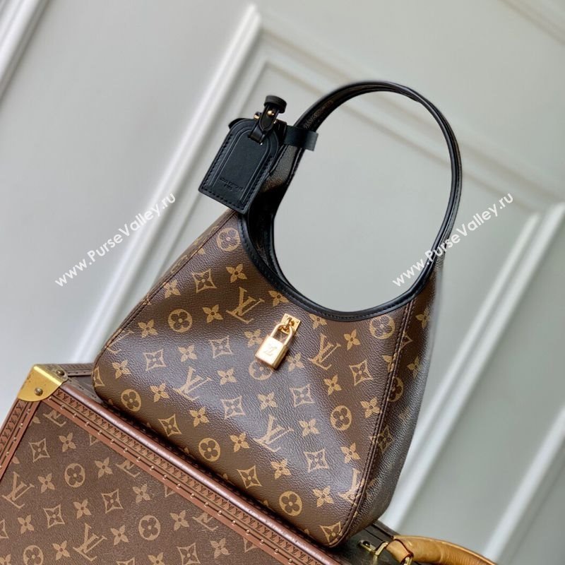 Louis Vuitton The Drop PM Hobo Bag in Monogram Canvas M12940 2025 (KI-250524027)