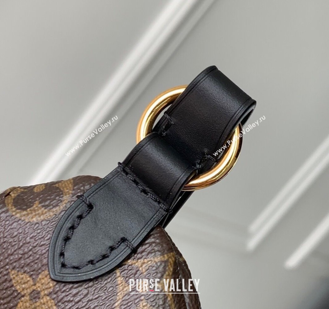 Louis Vuitton Keepit Bumbag in Monogram Canvas M14806 2025 (KI-250524006)