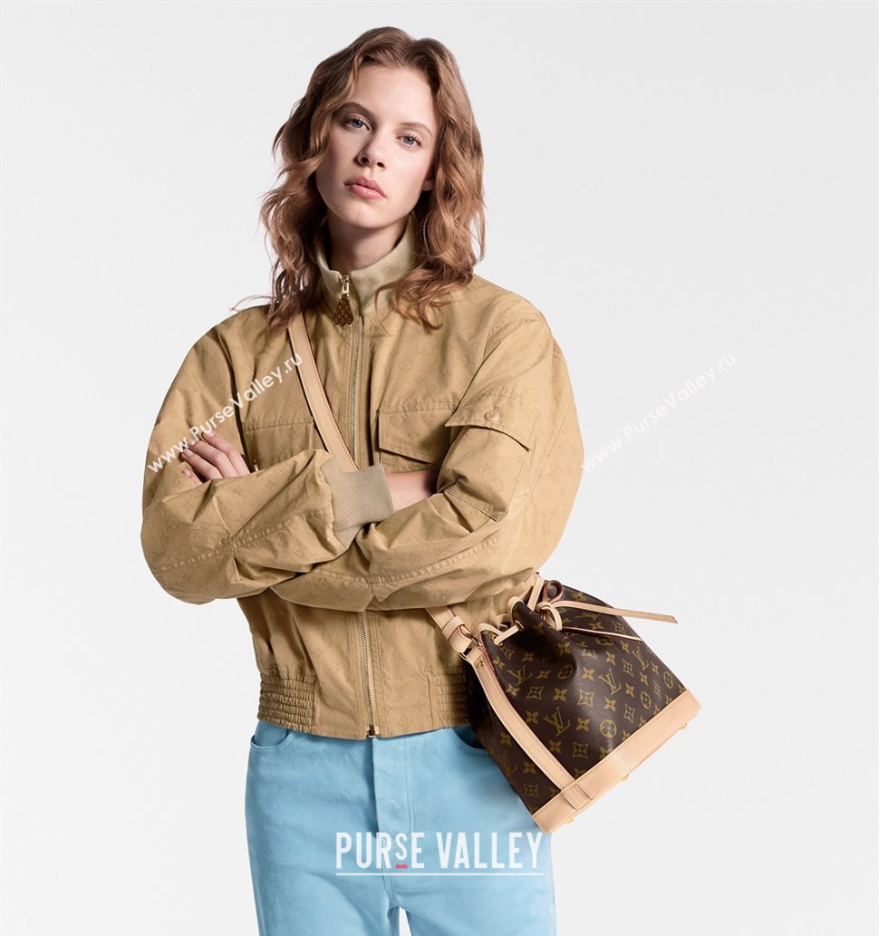 Louis Vuitton Noe BB Bucket bag in Monogram Canvas 2025 M46983 (KI-250702024)