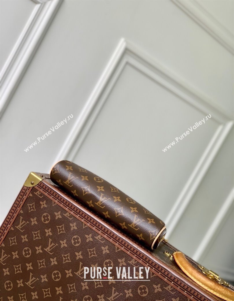 Louis Vuitton Pochette Eva Mini Bag in Monogram Canvas M13567 2025 (KI-2508110037)