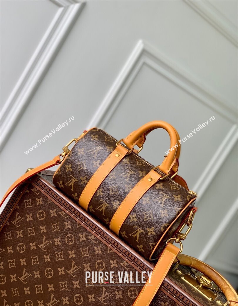 Louis Vuitton Keepall 25 Cargo bag in Monogram Canvas M14981 2025 (KI-2508110049)