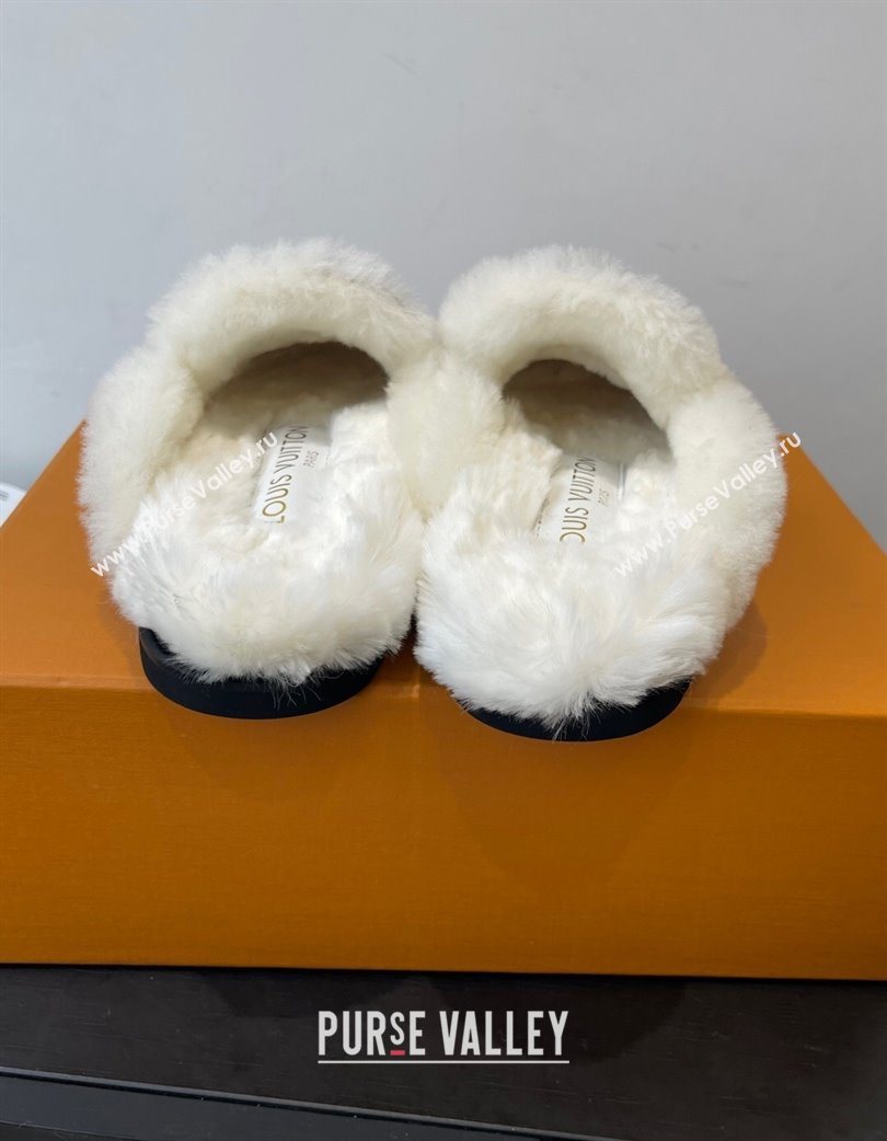 Louis Vuitton Colorado Closed Mules in Wool and Suede Brown 2025 1AITH8 (MD-251219094)