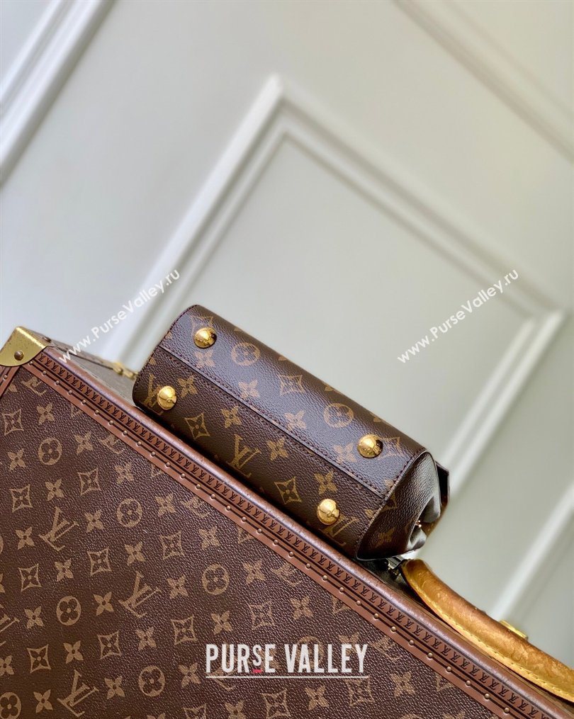 Louis Vuitton Cluny Mini Bag in Monogram Canvas M13040 2026 (KI-260202049)