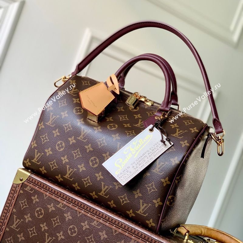 Louis Vuitton Speedy 30 Soft Celebration Bag in Monogram Canvas 2026 M28379 (KI-260202051)