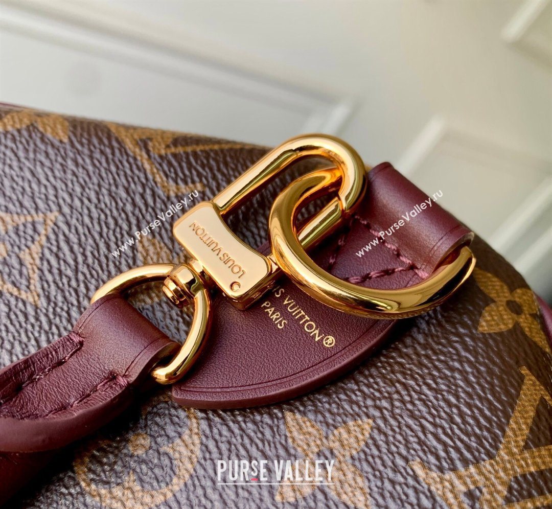 Louis Vuitton Speedy 30 Soft Celebration Bag in Monogram Canvas 2026 M28379 (KI-260202051)