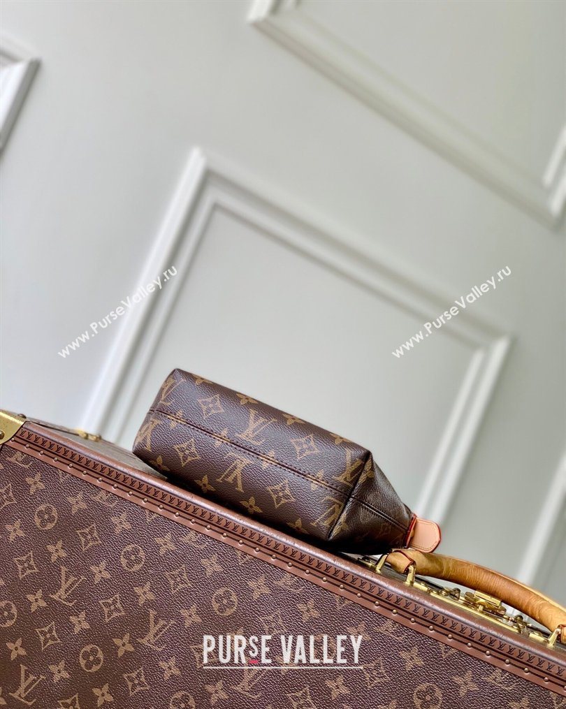 Louis Vuitton Pochette Hills Mini Bag in Monogram Canvas 2026 M27509 (KI-260203007)