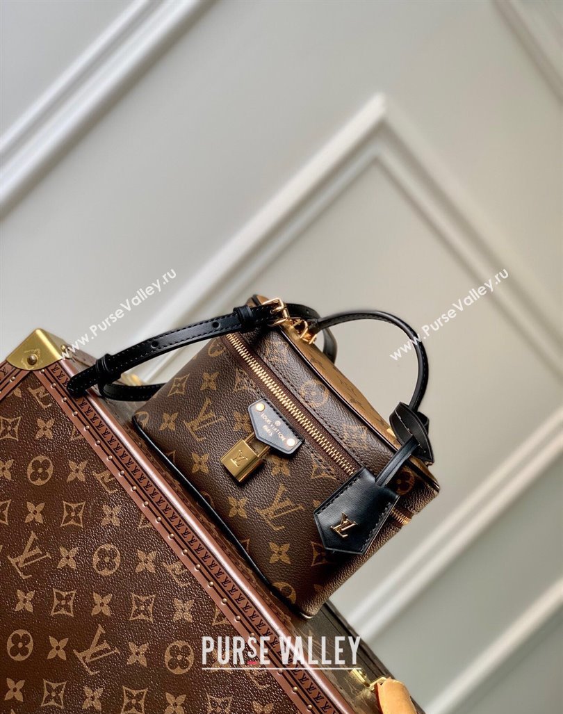 Louis Vuitton Vanity Chain Pouch in Monogram Canvas 2024 M47125 (KI-240925046)