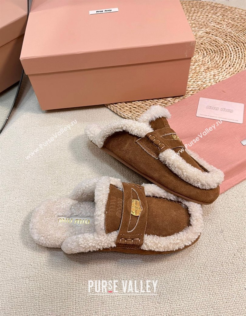 Miu Miu Suede and Shearling Wool Flat Mules with Coin Brown2 2024 MM111402 (KL-241114030)