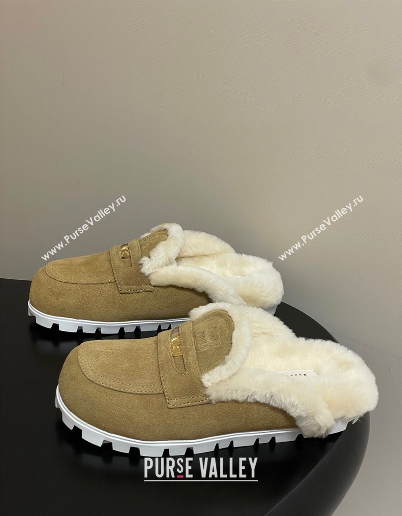 Miu Miu Coin Suede and Wool Mules Light Yellow 2025 5D058E (MD-251208019)